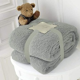 Hachette Teddy Fleece Throw Blanket Soft Warm Throw Over Sofa Bed Travel Bedspread Blanket (Grey Silver, Single - 100 x 150 cm)