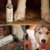 Cedarcide Original Bug Spray | Repel & Kill Fleas, Ticks,