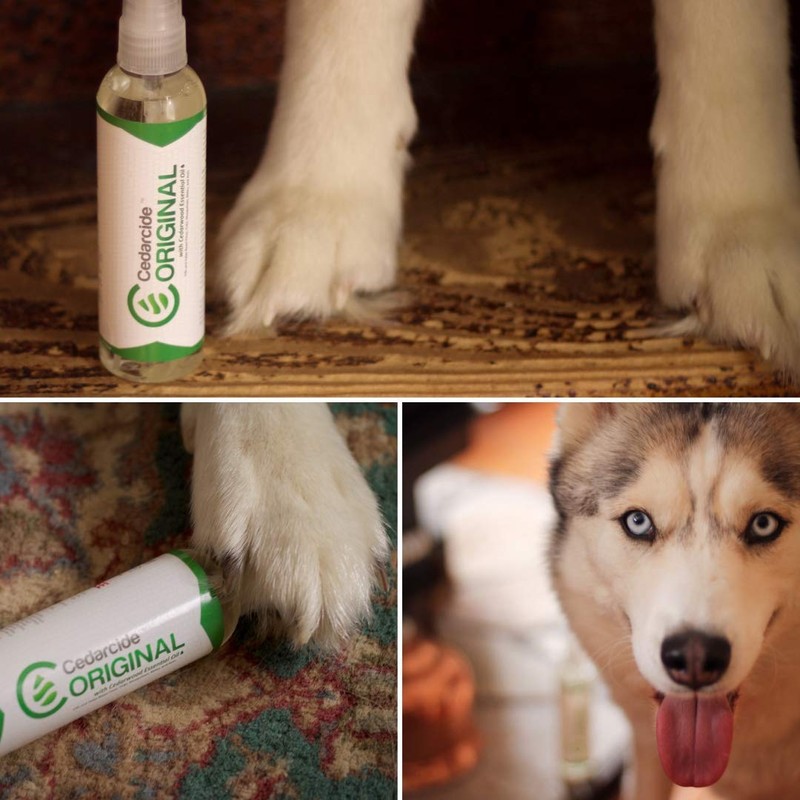 Cedarcide Original Bug Spray | Repel & Kill Fleas, Ticks,