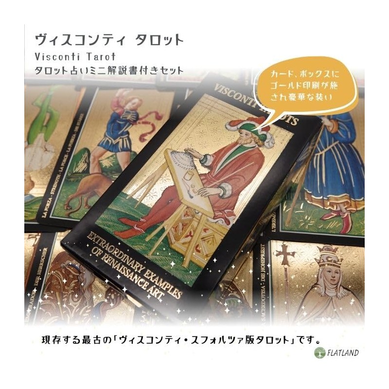 Visconti Tarot Tarot Divination with Japanese Manual (English Language Not