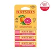 Burt's Bees 버츠비 핑크 그레이프 립밤 트리오 Burt's Bees Pink Grapefruit Lip Balm Trio