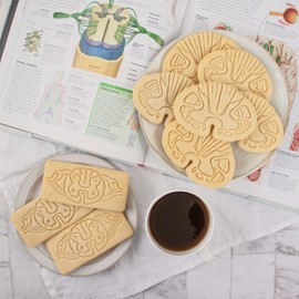Set of 2 Cookie Cutters (Shapes: Spinal Nerve Path & Spinal Cross-Section), 2 Pieces Bakerlogy