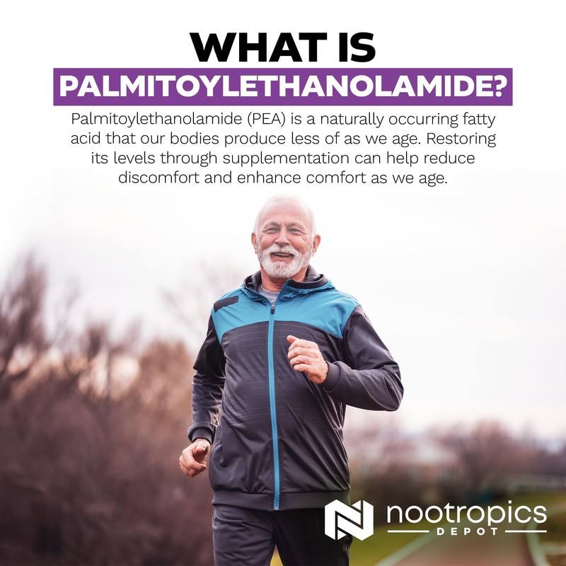 Nootropics Depot Palmitoylethanolamide Capsules | Pea | 400mg Pills |