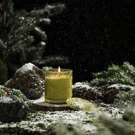 LA JOLIE MUSE Starlit Golden Fir Scented Candle, Holiday Candle Gifts, Candles for Home Scented, Natural Soy Wax Candle, 6 oz 40 Hours Burn