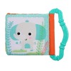 Bright Starts New Bright Starts Teethe & Read Take-Along Toy