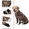 Recovery Suit for Large Medium Dogs After Surgery, Soft Breathable