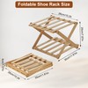 Fentar 2-Tier Narrow Shoe Rack
