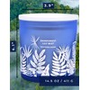 Rainforest Lily Mist Scented Candle | Big 3-Wick Soy Candle