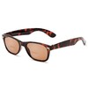 Readers.com Reading Sunglasses: The Joliet Bifocal Reading Sunglasses Plastic Retro