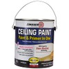 RUST-OLEUM 260967 Ceiling Paint-Gallon