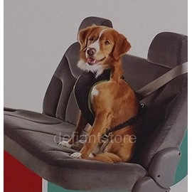 Boots & Barkley Medium (23" x 29") Adjustable Seat Belt Dog Harness - Black/Green