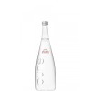 Evian Pure Still Mineral Luxury 💎 Water Glass Bottle 💧-
