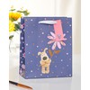 Boofle Medium Gift Bag for Any Occasion, for Her/Friend -