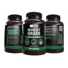 Pure Original Ingredients Wheat Grass (365 Capsules) No Magnesium Or