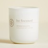 Chesapeake Bay Candle Intentions Collection Candle, Be Focused: Remember what