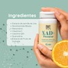 BE NAT | NAD+ Precursor| NR Nicotinamida Ribosa potenciado con
