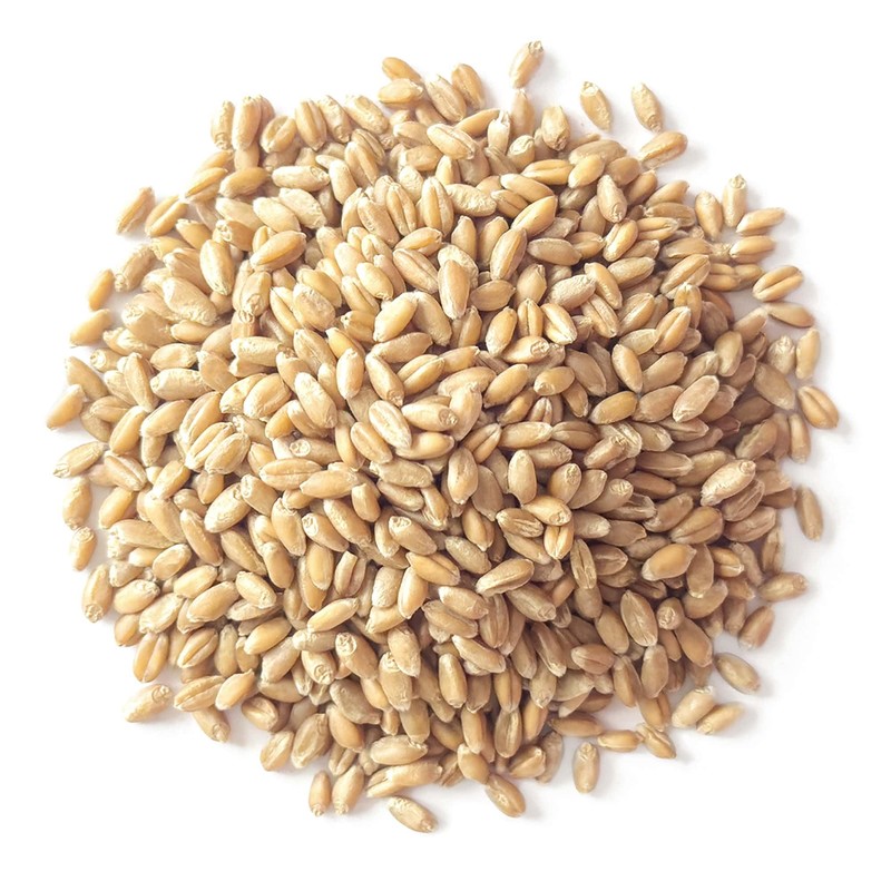 Food to Live Organic Soft White Wheat Berries, 1 Pound