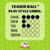 Jolly Pets Jolly Pets Teaser Ball Dog Toy, Large/8 Inches,