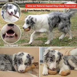 Willjoy Large 3-Pack Dog Toys for Aggressive Chewers Pine Wood and Nylon Dog Chew Toys Real Bacon Indestructible Dog Toys to Keep Them Busy