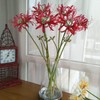 XIZHI XIZHI 5 Stems Artificial Spider Lily Flowers 23.6 Inches