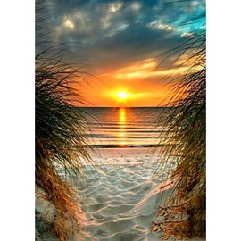 QENSPE 5D Diamond Painting Kits for Adults, Beach Landscape Diamond Art Kits Sunset Diamond Painting Kit for Beginners Full Drill, DIY Crystal Picture Art for Home Wall Decor 12x16in / 30x40cm