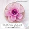 PILSAC 300° Bloom Gelatin Powder (2.2 lb) bag - Unflavored