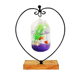 (Heart) - Archi Creative Double Glass Crystal Vases Including Dried Flowers and Colour Sand Hanging on Glass Crystal Stand (Heart)