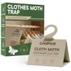 Clothing Moth Traps with Pheromones (8 Pack) Non‑Toxic, Sticky Glue