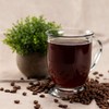 Tea Zone 1.1 lb Iced Coffee Mix