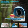 Aomeisi A6 AI Bird Feeder with 2K Solar Camera Squirrel