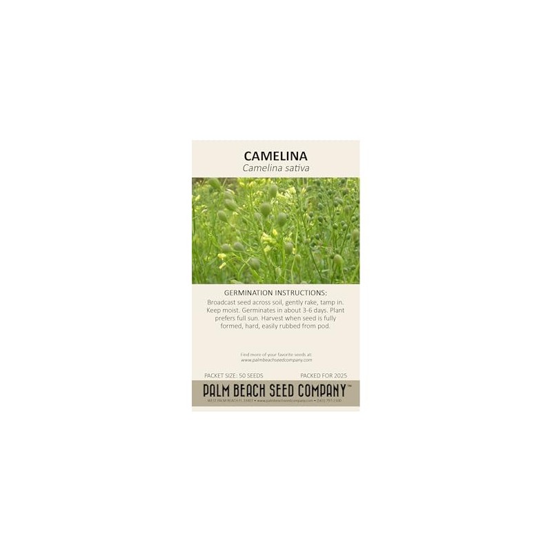 Palm Beach Medicinal Herbs - Camelina (Camelina Sativa) - Packet