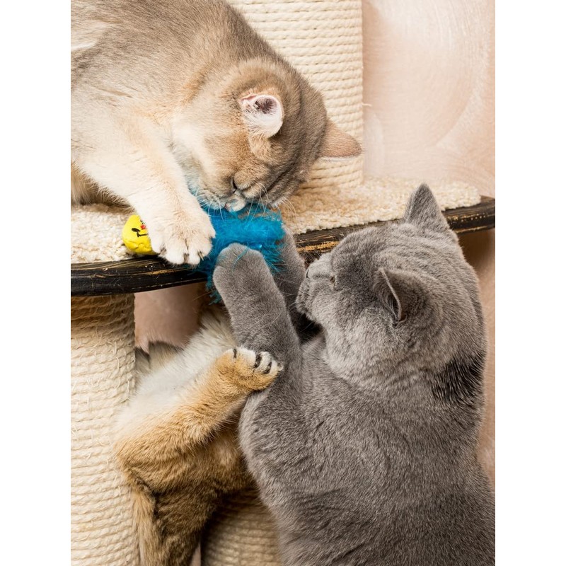 Turkey Cat Watamote Whitening Toy 01 Minnow