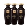 Ryo Ginsengbo Shampoo Scalp and Hair Nutrition 400ml 3 packs