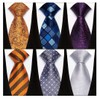 YanLen Tie For Men Necktie Woven Jacquard Neck Ties Set