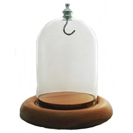 3"x4" Pocket Watch Glass Display Dome Cloche Oak Wood Base & Silver Metal hook