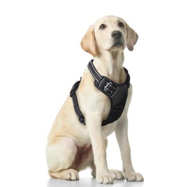 Funfox Dog Harness for Medium Dogs No Pull Chest Harness Adjustable Dog Harness Set Medium Dogs Anti-Pull Harness Dog Medium Dogs Breathable Anti-Pull Harness Dog Harness Black M