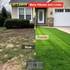 Lawn Leveling Rake - Heavy Duty 17"x10" Stainless Steel Lawn