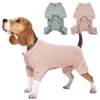Hjumarayan Dog Pyjamas, Dog Surgical Body Stretch Bodysuit for Dog