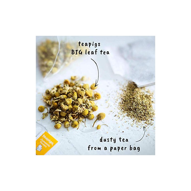 Teapigs Chamomile Herbal Tea Bags Made with Whole Flowers (1