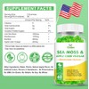 OALSE Sea Moss Gummies - 1800mg Irish Sea Moss +