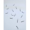Generic 1000 Premade volume fans Mixed lengths 9-16mm loose Fans