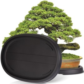 Pinkunn 2 Pack Bonsai Humidity Tray Drip Tray Plastic Plant Water Catcher Plant Saucers for Indoors and Outdoors Cactus, Succulents, Bonsai Tree, Stone Not Included(16.3 x 10.8 Inch)
