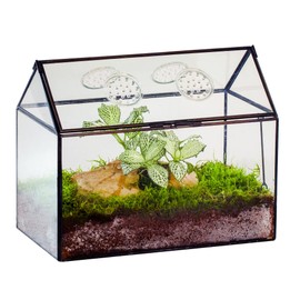 NCYP Glass Terrarium with Lid and Air Holes for Snails - 10.2" x 5.9" x 8.2" Black House Shape Geometric Terrarium Box for Succulents Plants - Indoor Tabletop Decor (Terrarium Only)