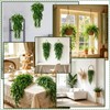 Fake Trailing Plant 2 Pack, Hanging Plant Eucalyptus & Persian