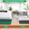 Sondiko Seed Starter Tray with Grow Light, 80 Cells Seed