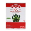 Holiday Time 100 Green Mini Lights - Green Wire (2
