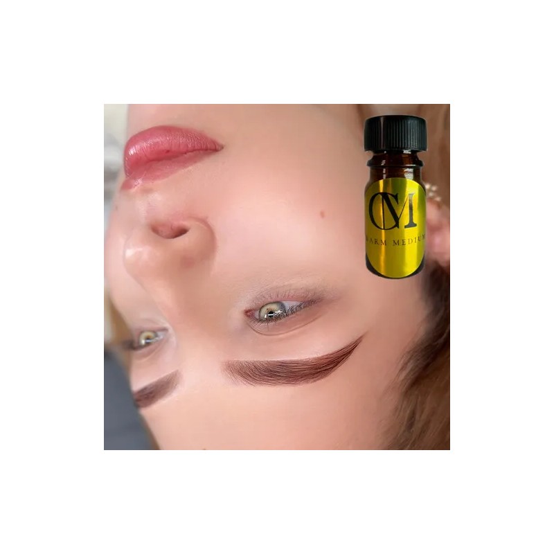 Henna Cejas Alta Pigmentación Carolina Mendoza Kit 3 Tonos