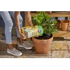 Miracle-Gro Shake 'n Feed Citrus, Avocado and Mango Plant Food