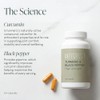 Turmeric & Black Pepper Supplement 30 Day Supply 2500mg Digestion