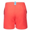 ARENA Boxer Mare da Bambino Fundamentals Logo R